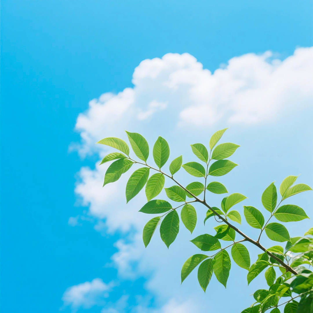 周荣素教的手擀面,和面时多加一样东西,筋道爽滑比买的还香_时候_凉水_筷子