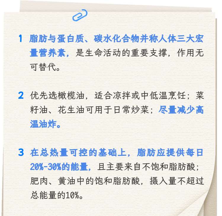 【健康】脂肪是瘦身路上最大“绊脚石”？这个理解有偏差！