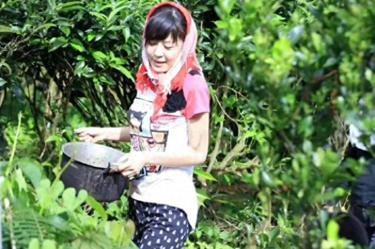 原创            12年前，李金铭农村体验被当真儿媳，如今“妈妈”还在持续骚扰她