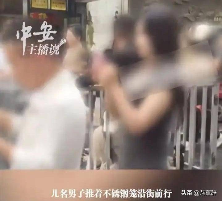 湖南女子浸猪笼后续！知情人透露线人全部被抓
