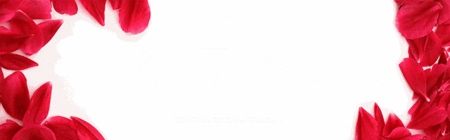 Ȫ�ݣ���Ժ���������Ķ�