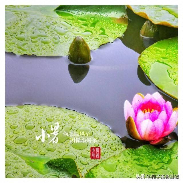 7月7小暑，60年一遇，建议大家：吃5种，喝1汤，安稳过夏