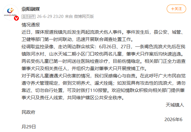 湖北崇阳通报“流浪犬咬伤两名儿童”：全力追查肇事犬只及相关责任人