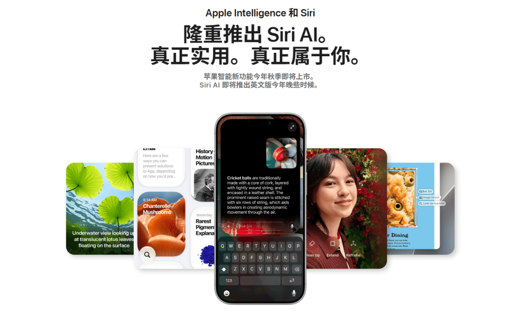 文章配图-2