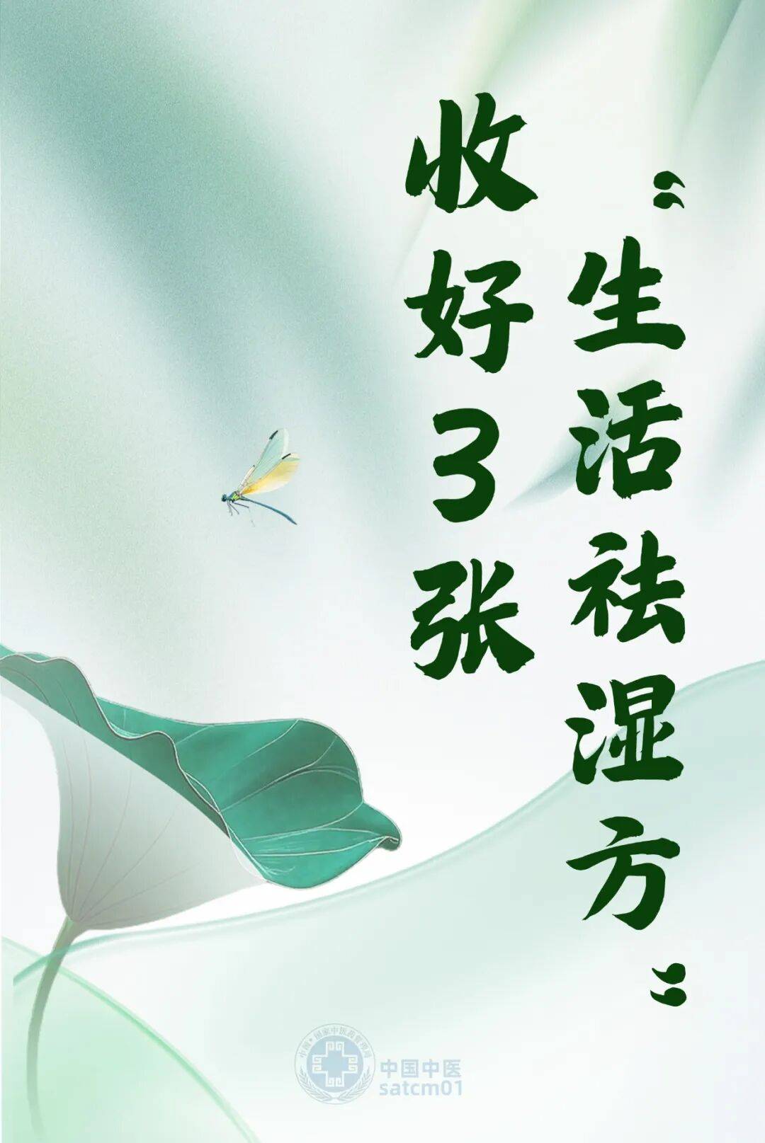 【医学科普站】夏季湿气易缠身，收好3张“生活祛湿方”，日常调养超实用