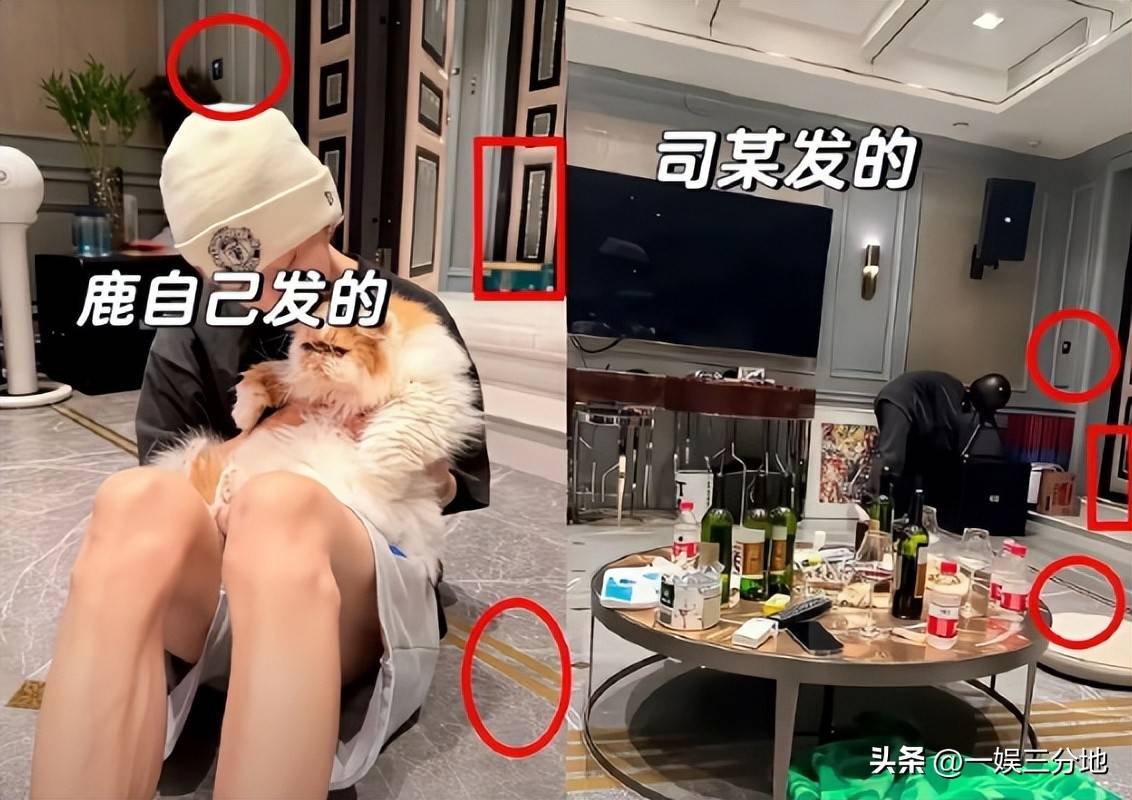 文章配图-1