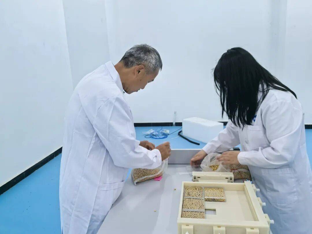太空技术落地黑土地丨冰城“地面空间站”搭建育种新高地