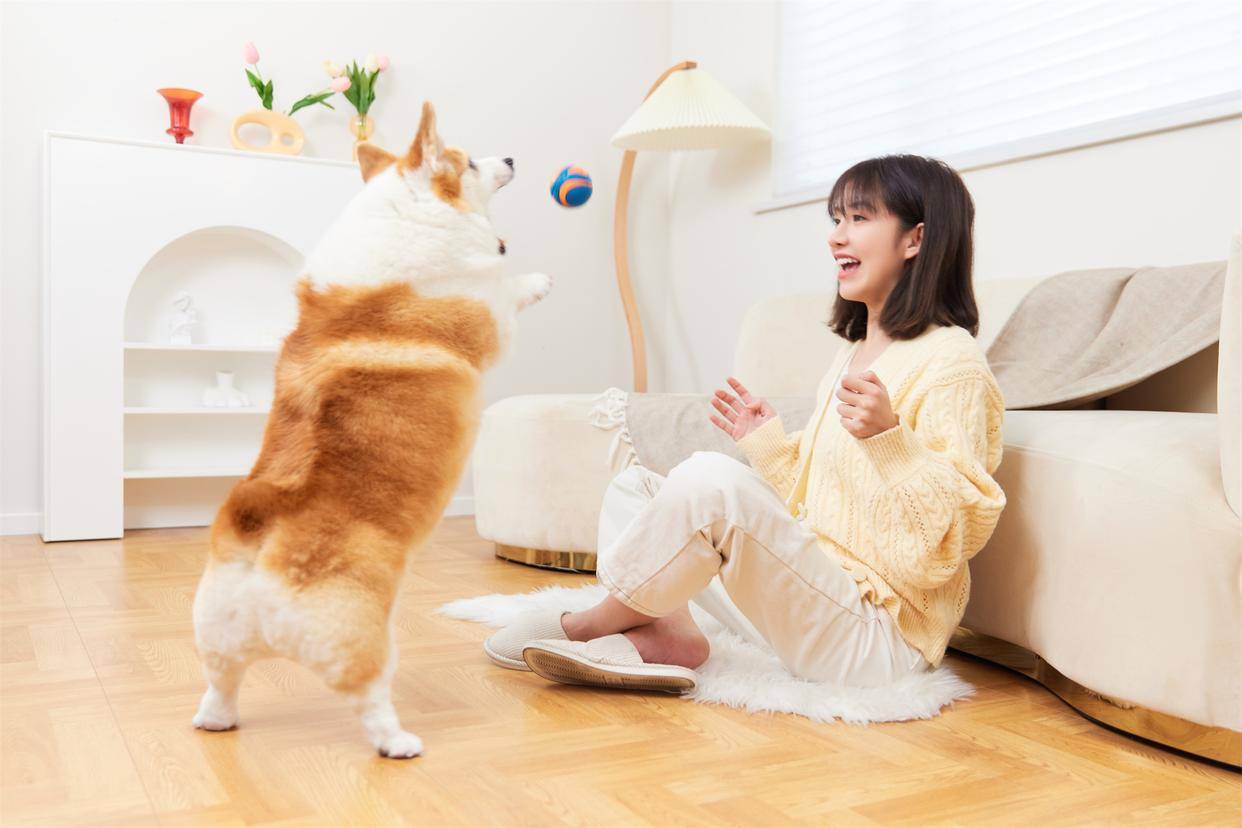 《健康之门》私域节目调查：惠血生胶囊私域直播