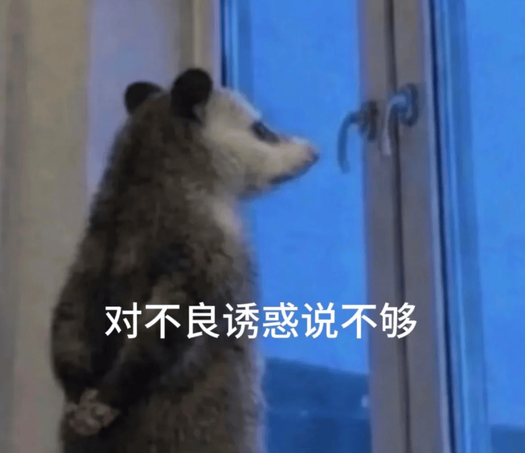 文章配图-6