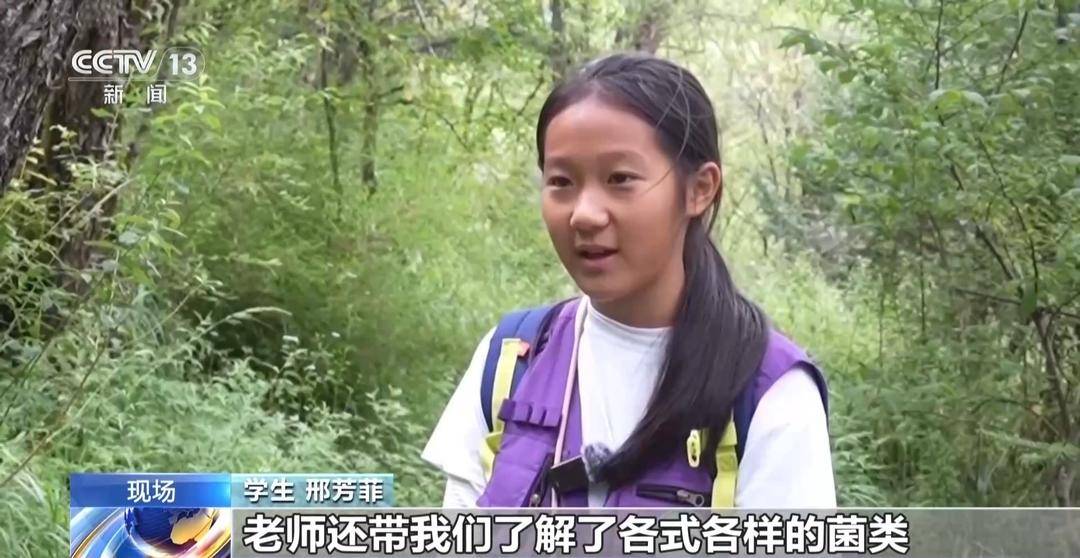 从森林探秘到文博体验 暑期各地研学热度高涨