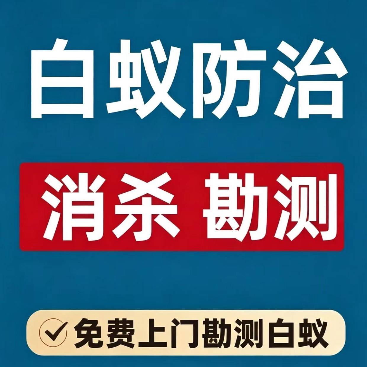 广佛白蚁常见问答，2026业主关心的问题一次性讲明白_虫害_处理_建议