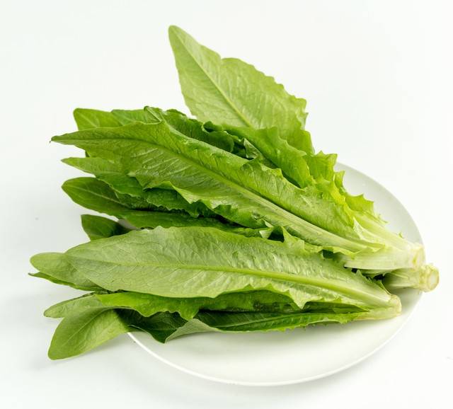 原创            很多人不知道油麦菜不能常吃？提醒：这3种人少吃为妙，建议了解