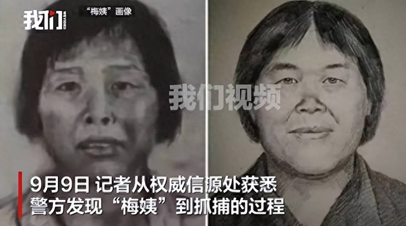 人贩子“梅姨”被抓捕完整经过：持有“谢家梅”和“谢丽珍”双重身份，落网时未拒捕