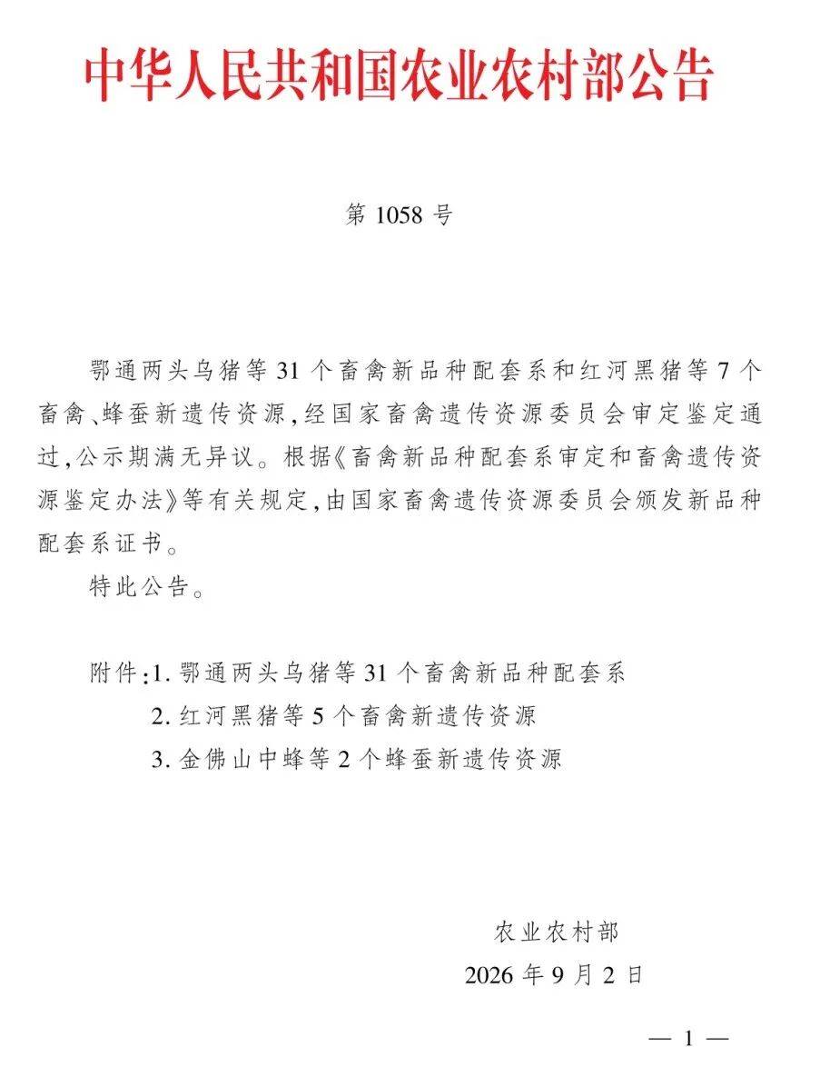 金佛山中蜂成为国家新遗传资源
