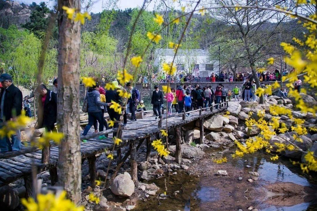 发现一个奇怪的现象：“穷游”的人太多，旅行社都快要倒闭了吗？-华闻时空
