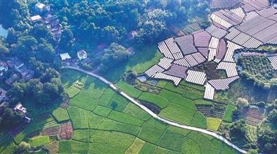 文章配图-1