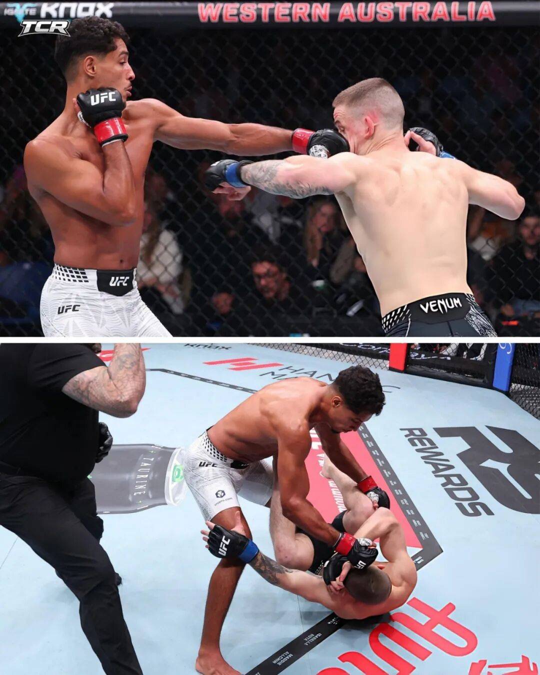 UFC