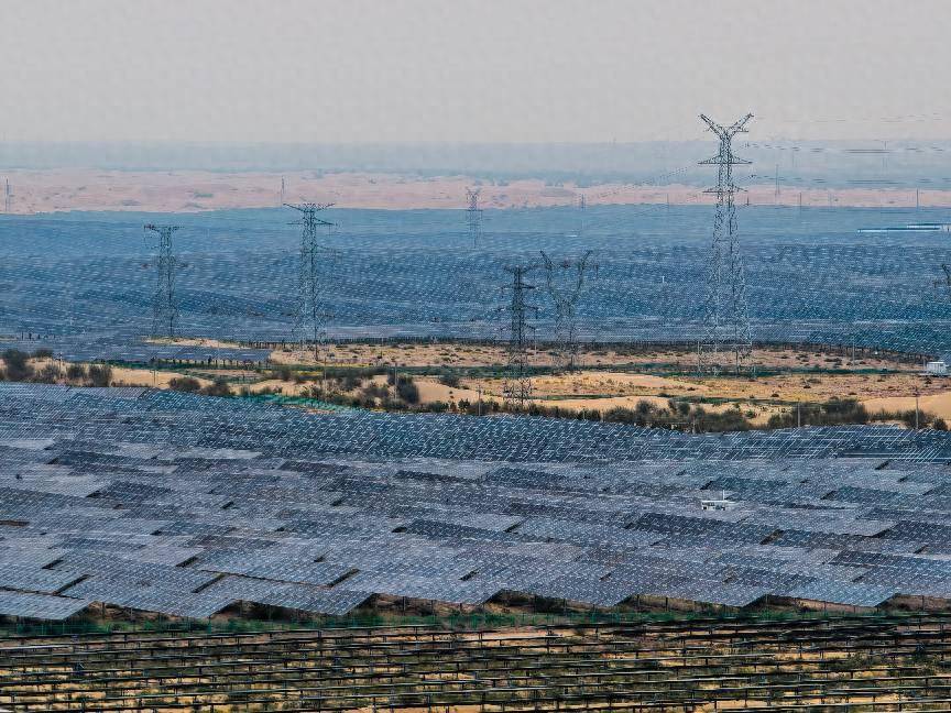 Engebei Agricultural Base cultivates blueberries in Kubuqi Desert sands