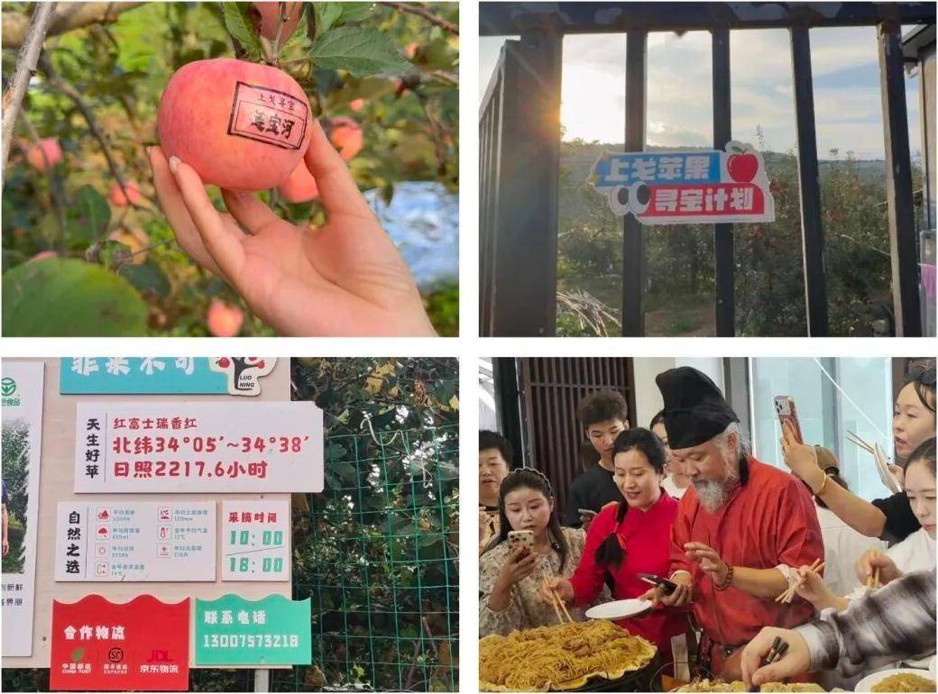 文章配图-1