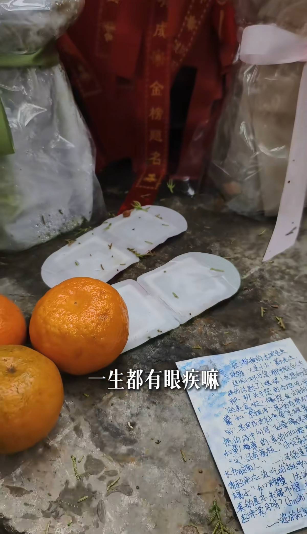 苏轼墓前惊现眼药水!游客为何这样祭祀?三苏园最新回应(图3) 苏轼墓前惊现眼药水!游客为何这样祭祀?三苏园最新回应(图3)