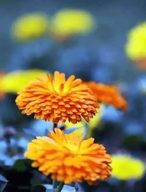 ������ͼ-1