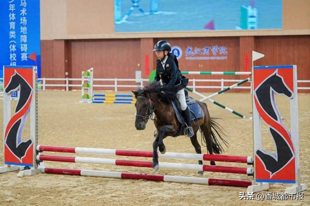 咸宁夺得省十七运会马术场地障碍比赛金牌