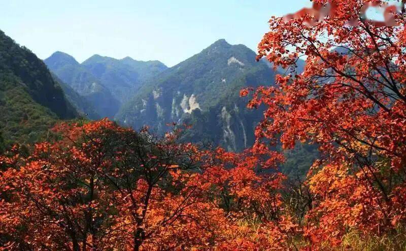 文章配图-1