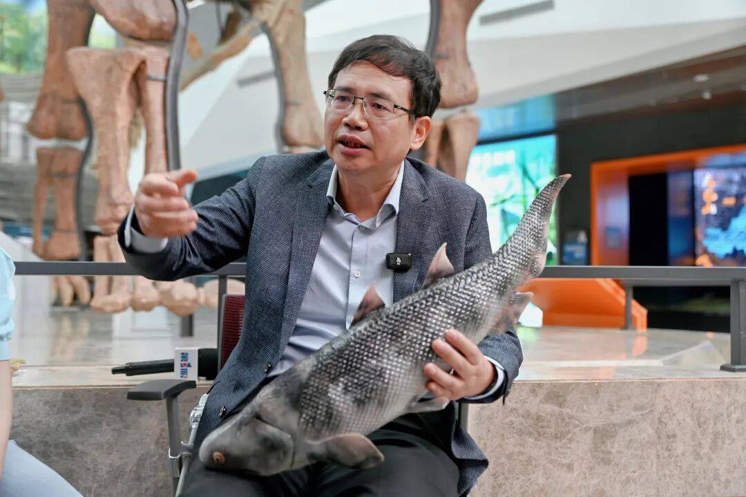 重庆发现世界最古老完整有颌脊椎动物