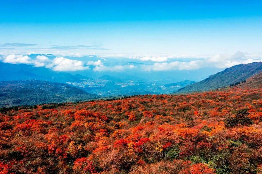 峨眉山秋景即将达到巅峰，还有秋季徒步限定奖牌等你来挑战(图5)