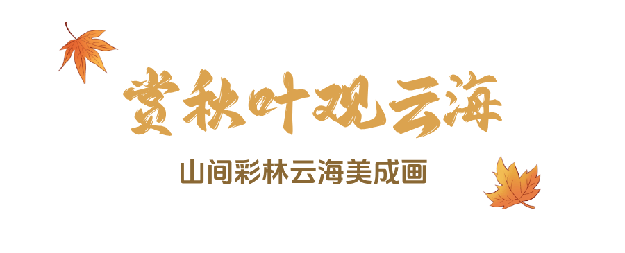 峨眉山秋景即将达到巅峰，还有秋季徒步限定奖牌等你来挑战