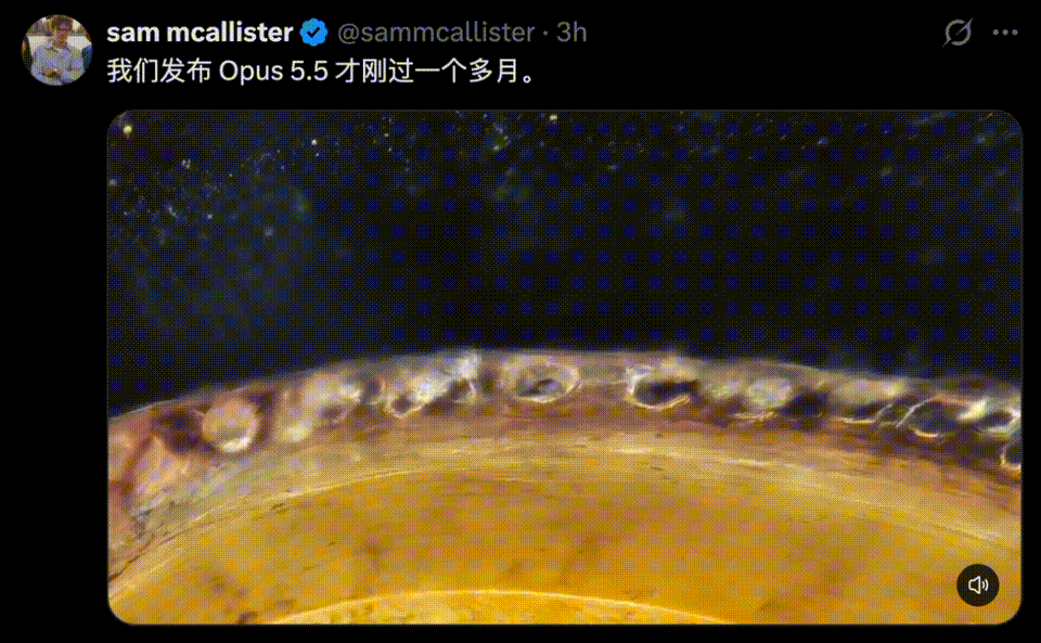 文章配图-2