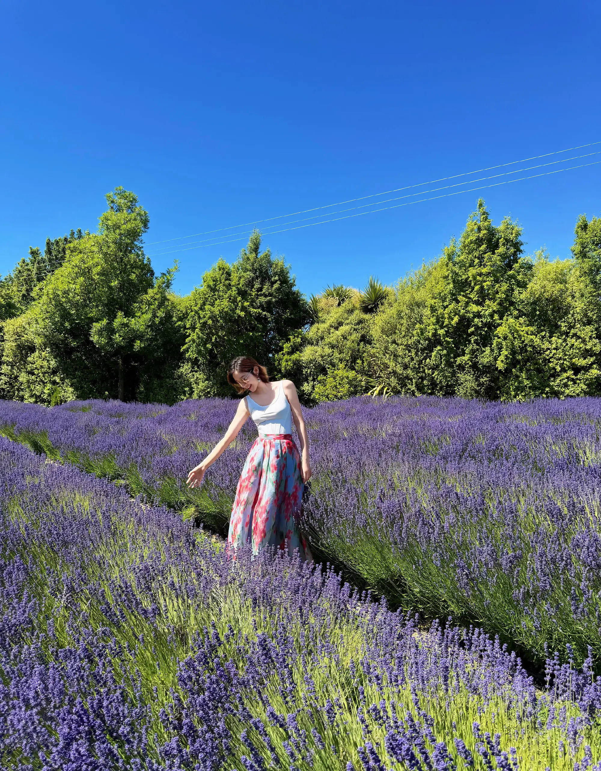 唐艺昕薰衣草花海安祥溜达！绽开灿烂笑颜热情大好